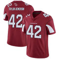 Custom #42 TAYLORDEMERSON Pro Stitched Jersey - Premium Edition