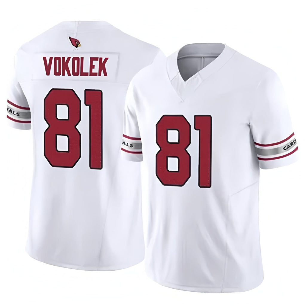 Custom #81 VOKOLEK Pro Stitched Jersey - Premium Edition