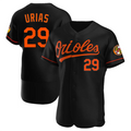 Custom #29 Black BAL Baseball Shirt Top