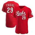 Custom #29 Red CIN Baseball Shirt Top