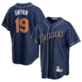 Custom #19 GWYNN Pro Stitched Jersey - Premium Edition